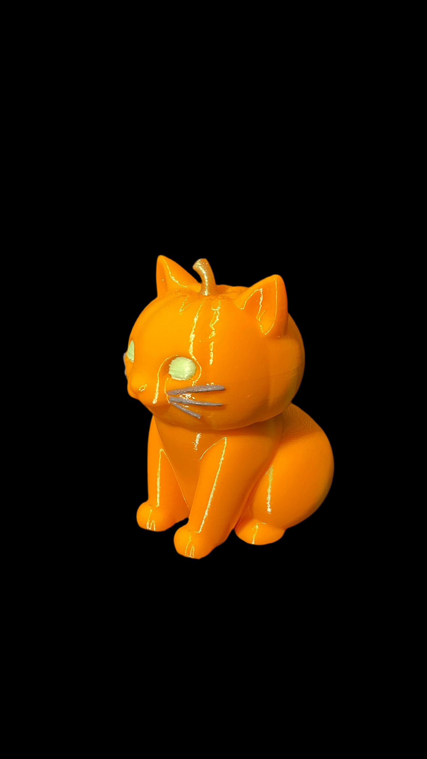 Pumkin Head Cat