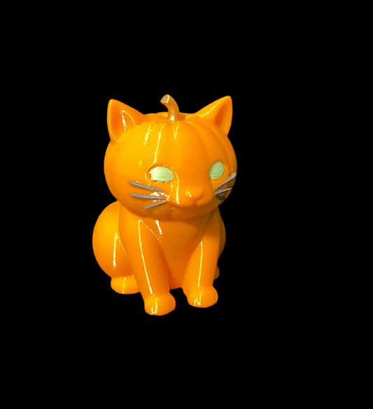 Pumkin Head Cat